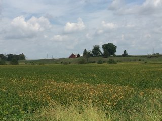 Property photo 19 - PRIME LAND AUCTION - 244+/- ACRES OFFERED IN 4 TRACTS IN UNION CO., IN & PREBLE CO., OH